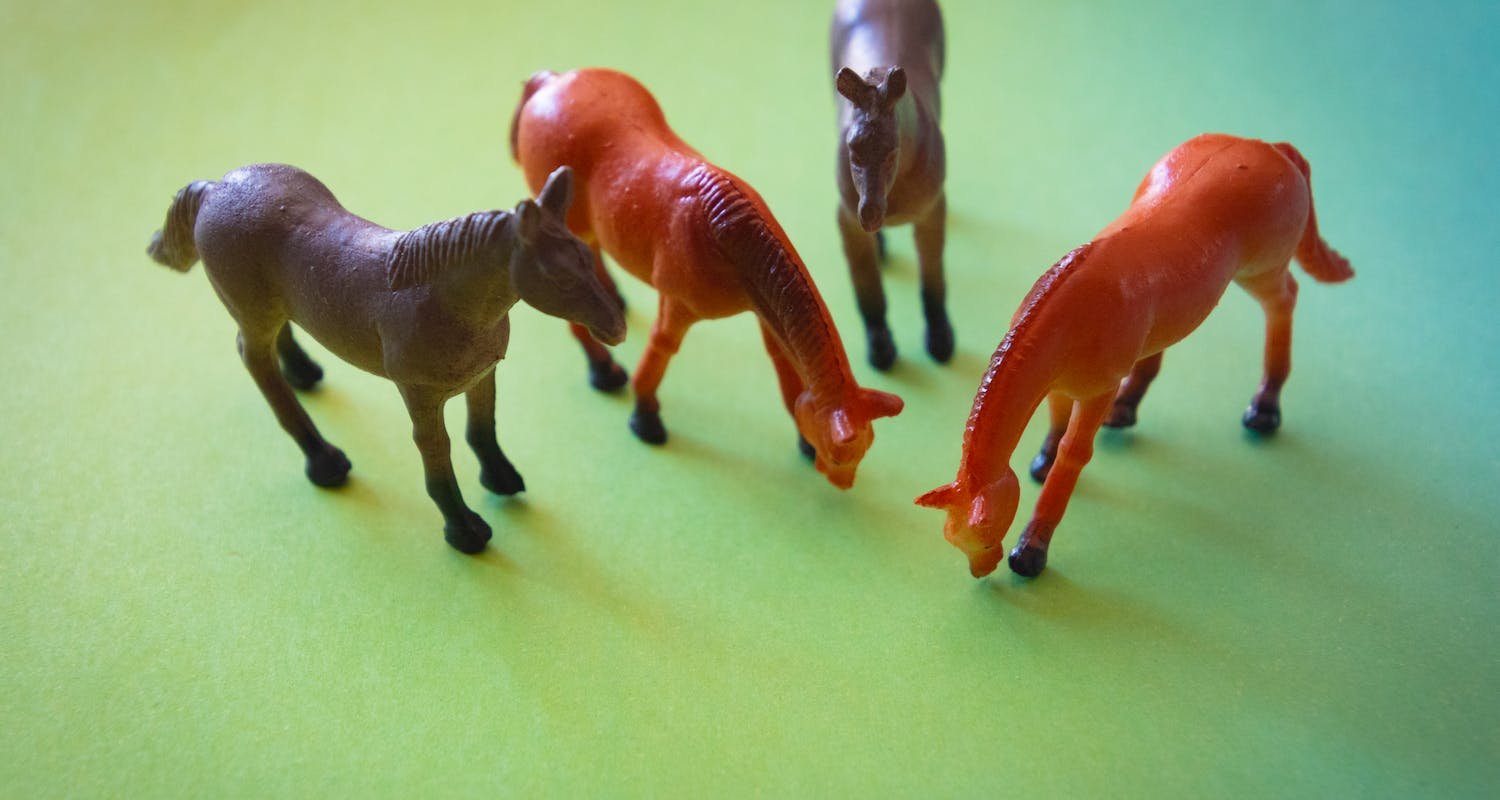 Looking For New Toys To Buy? Read These Tips!